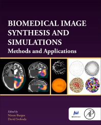 Biomedical Image Synthesis and Simulations.jpg